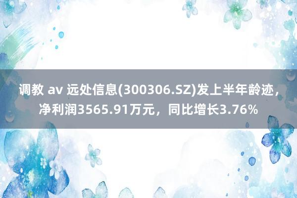 调教 av 远处信息(300306.SZ)发上半年龄迹，净利润3565.91万元，同比增长3.76%