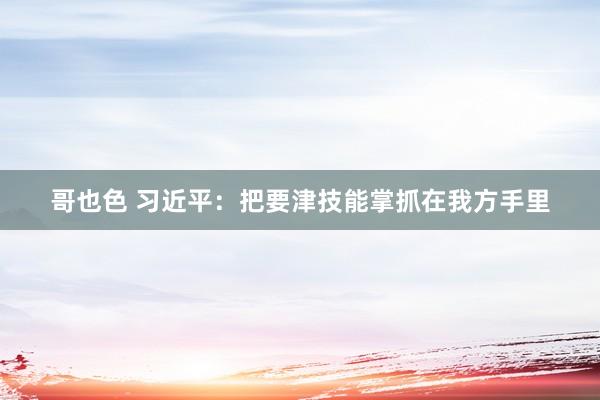 哥也色 习近平：把要津技能掌抓在我方手里